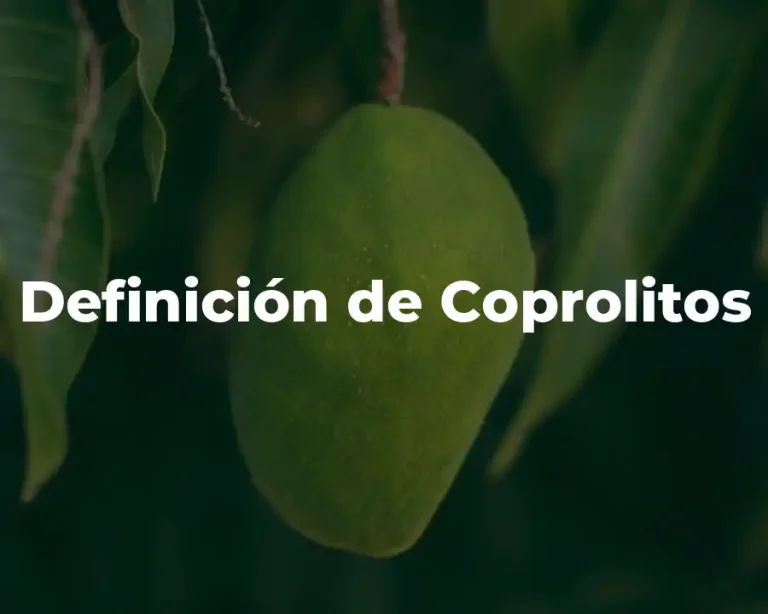 Definición de Coprolitos
