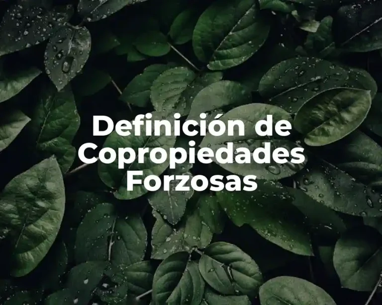 Definición de Copropiedades Forzosas
