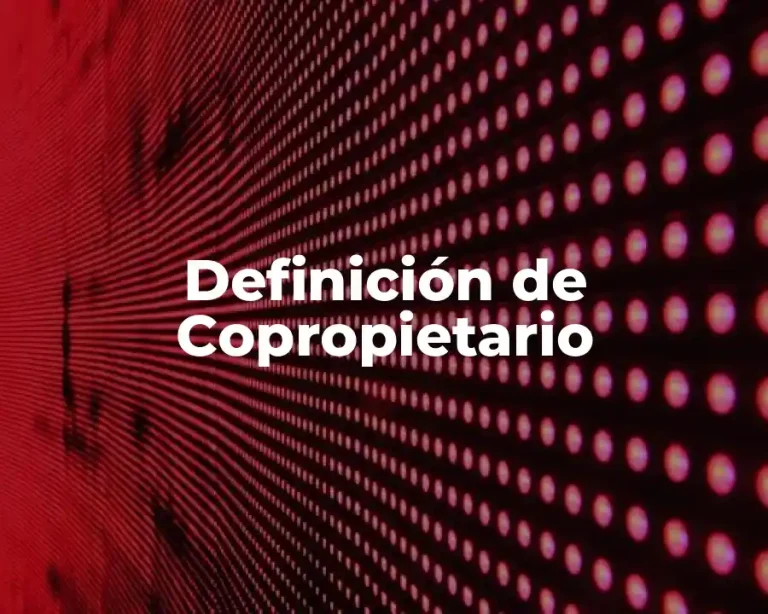 Definición de Copropietario