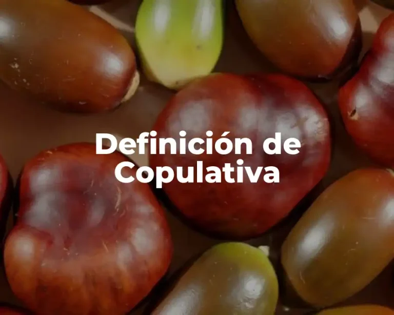 Definición de Copulativa
