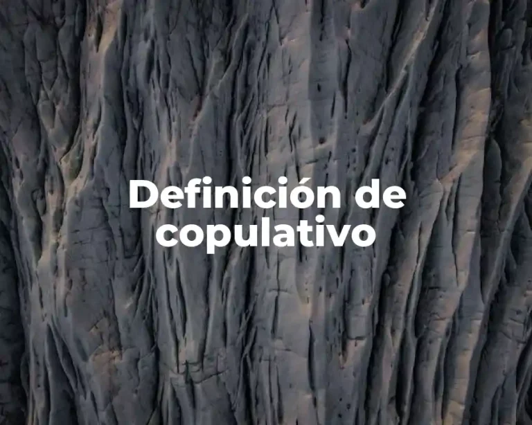 Definición de copulativo
