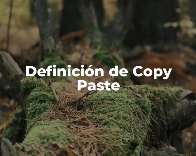 Definición de Copy Paste