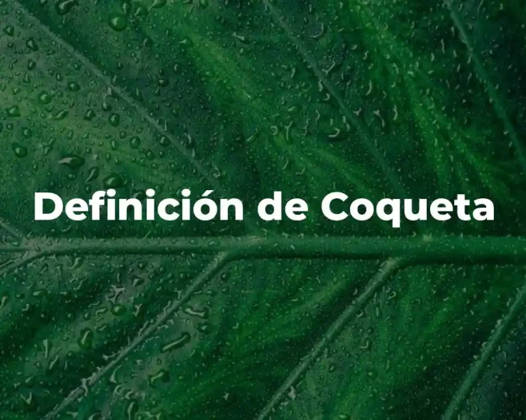 Definición de Coqueta