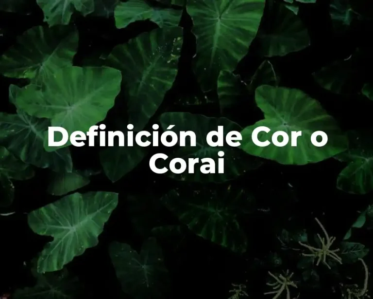 Definición de Cor o Corai