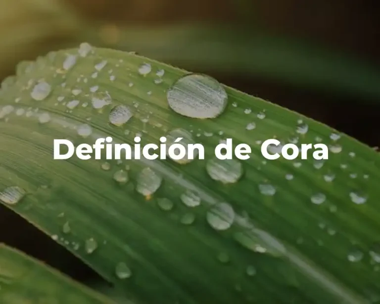 Definición de Cora