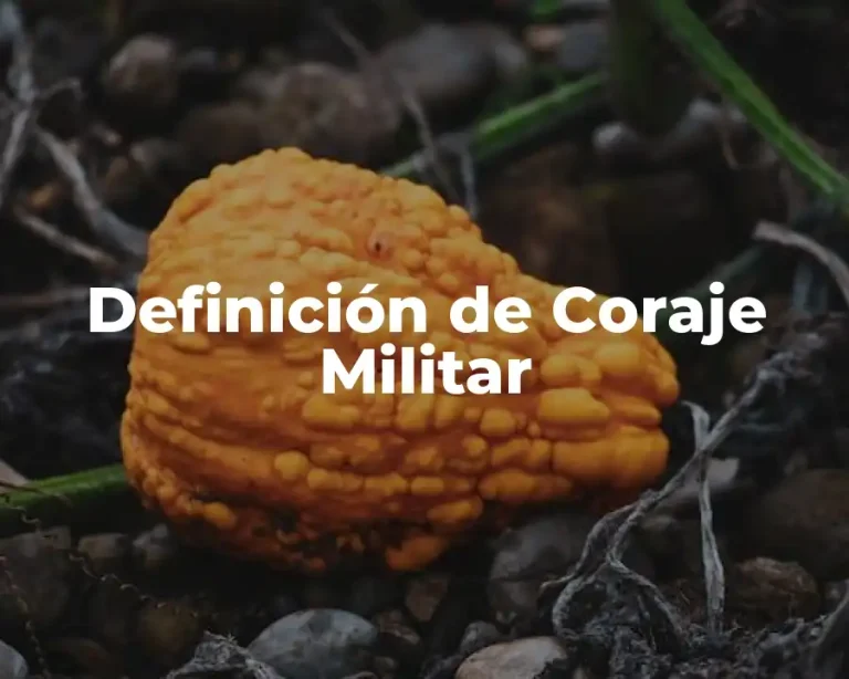 Definición de Coraje Militar