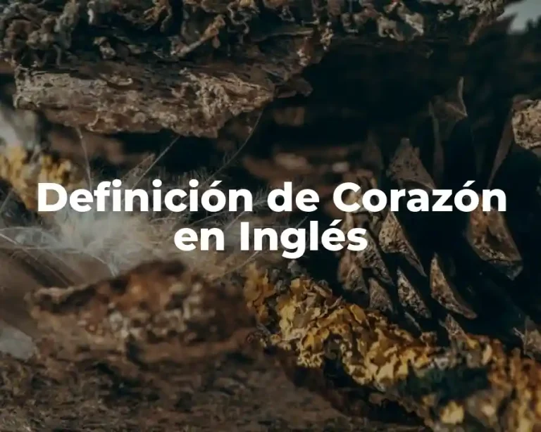 Definición de Corazón en Inglés