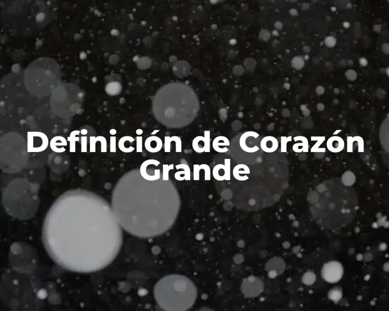 Definición de Corazón Grande