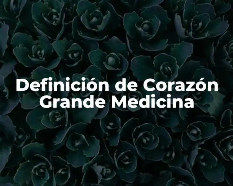 Definición de Corazón Grande Medicina