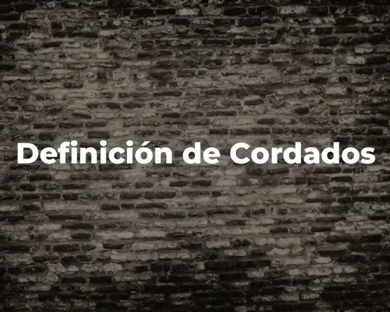 Definición de Cordados