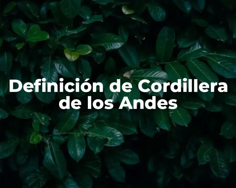 Definición de Cordillera de los Andes