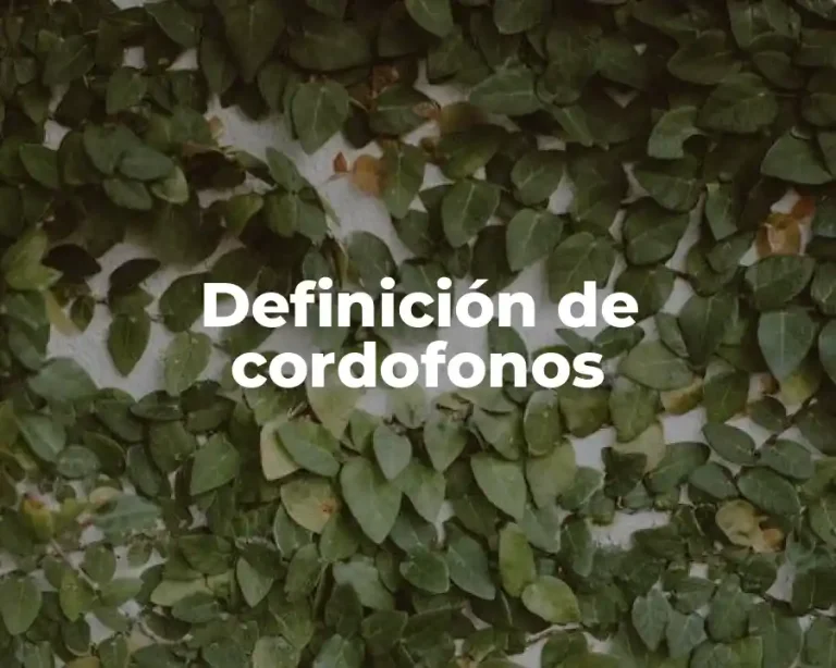 Definición de cordofonos