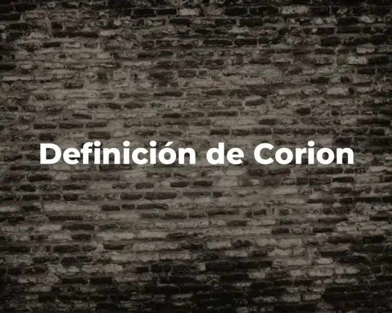 Definición de Corion