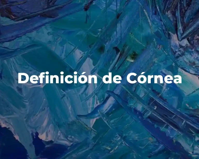 Definición de Córnea
