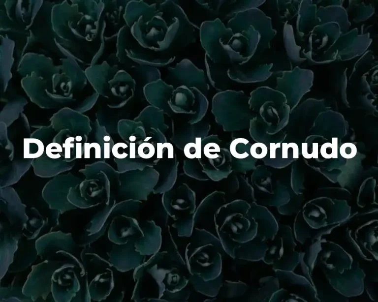Definición de Cornudo