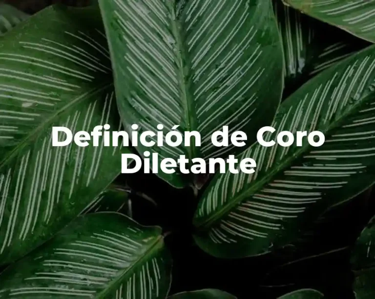 Definición de Coro Diletante