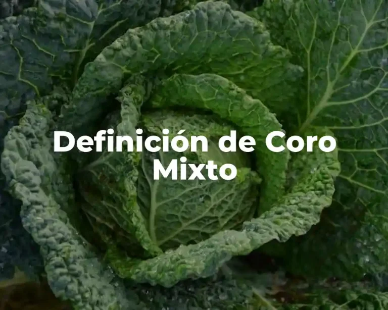 Definición de Coro Mixto