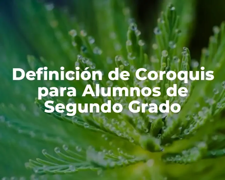 Definición de Coroquis para Alumnos de Segundo Grado