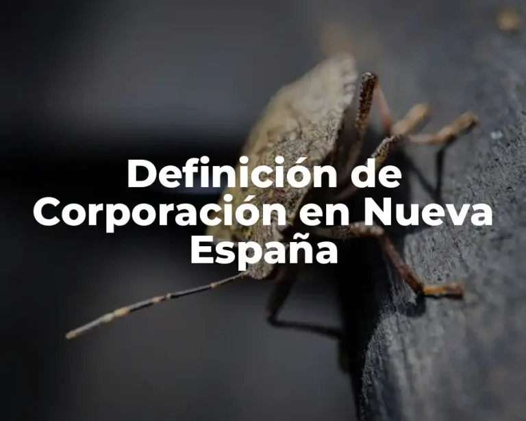 Definición de Corporación en Nueva España