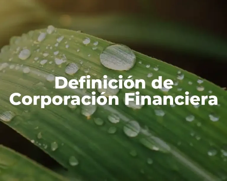 Definición de Corporación Financiera