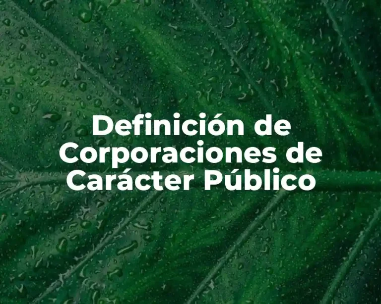 Definición de Corporaciones de Carácter Público