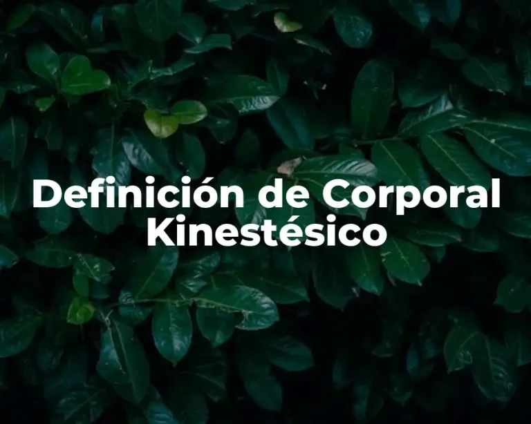 Definición de Corporal Kinestésico