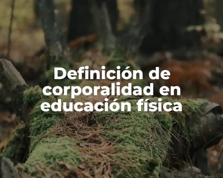 Definición de corporalidad en educación física
