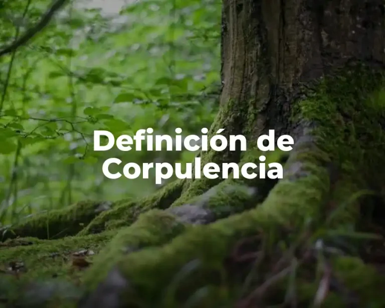 Definición de Corpulencia
