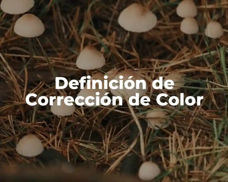 Definición de Corrección de Color