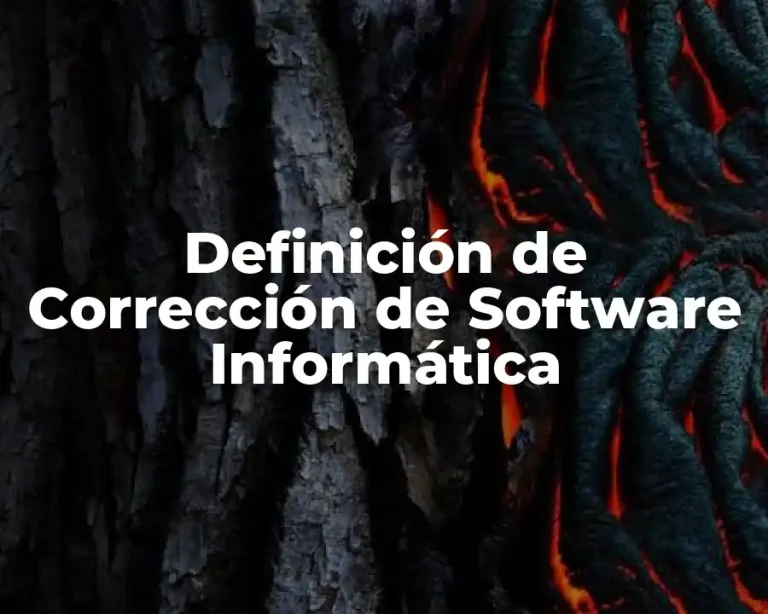 Definición de Corrección de Software Informática