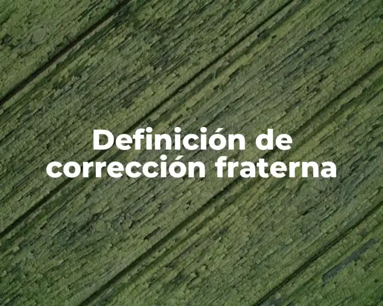 Definición de corrección fraterna