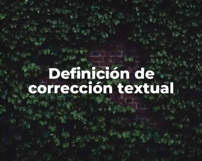 Definición de corrección textual