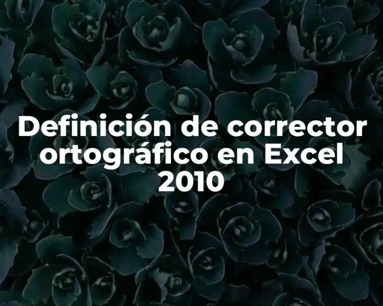 Definición de corrector ortográfico en Excel 2010