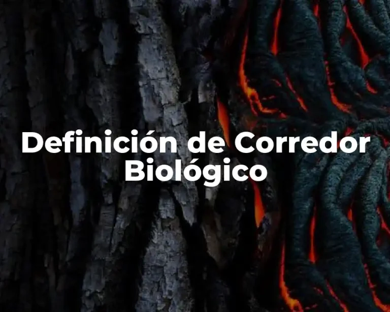Definición de Corredor Biológico