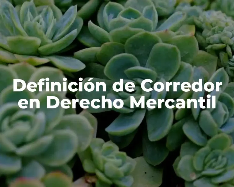 Definición de Corredor en Derecho Mercantil