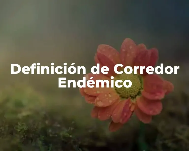 Definición de Corredor Endémico