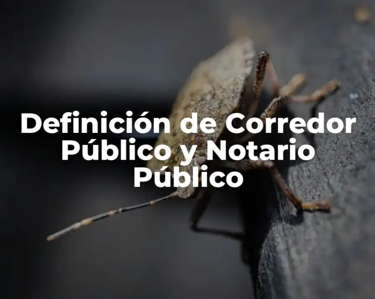 Definición de Corredor Público y Notario Público