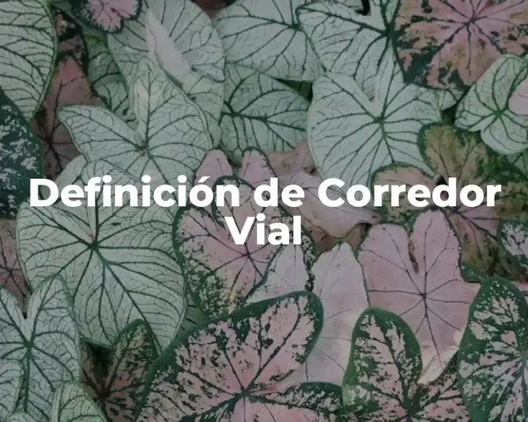 Definición de Corredor Vial