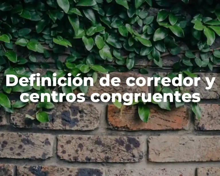 Definición de corredor y centros congruentes