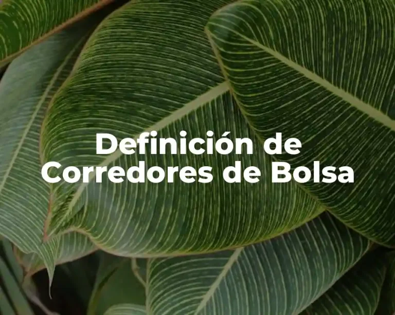 Definición de Corredores de Bolsa