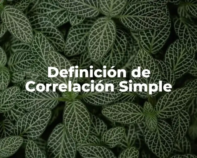Definición de Correlación Simple