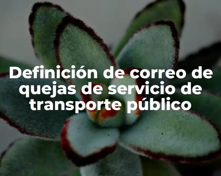 Definición de correo de quejas de servicio de transporte público