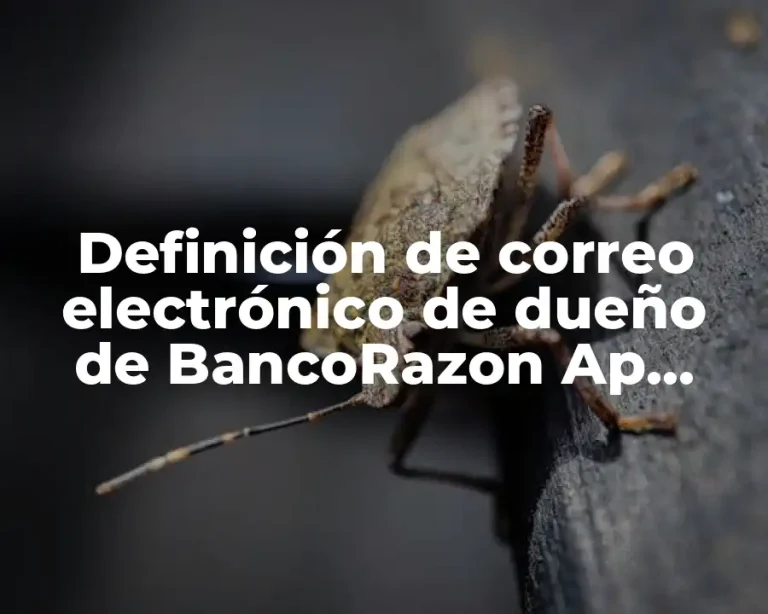 Definición de correo electrónico de dueño de BancoRazon Ap Spansih