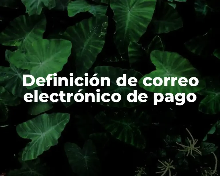 Definición de correo electrónico de pago