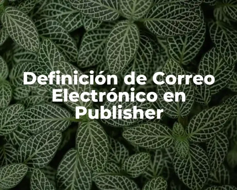 Definición de Correo Electrónico en Publisher