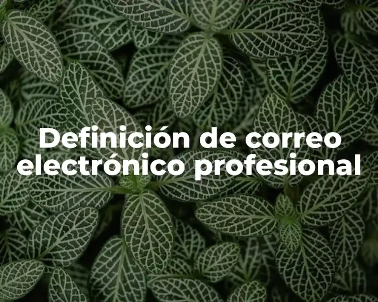 Definición de correo electrónico profesional