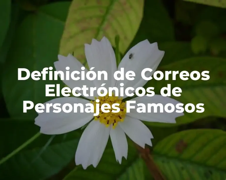Definición de Correos Electrónicos de Personajes Famosos