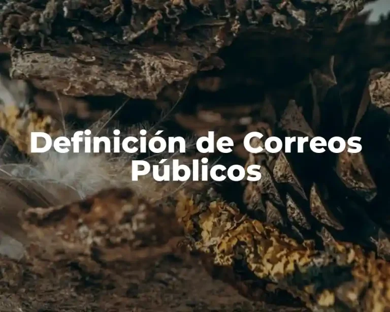 Definición de Correos Públicos