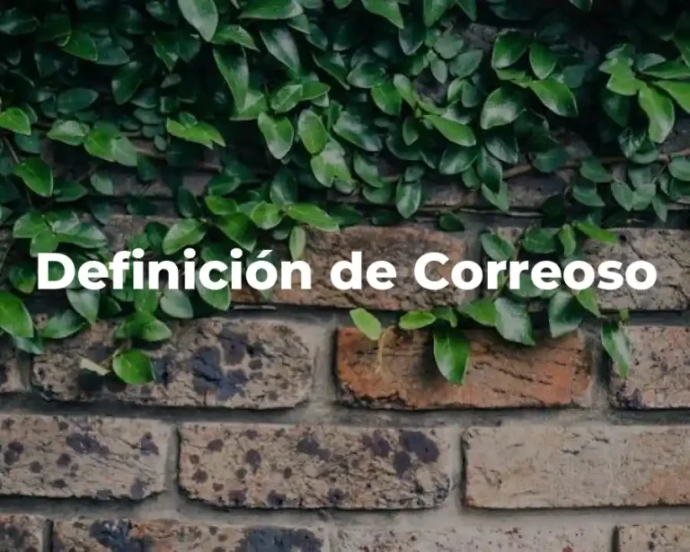 Definición de Correoso