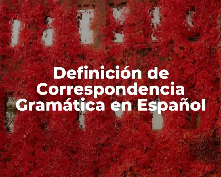 Definición de Correspondencia Gramática en Español